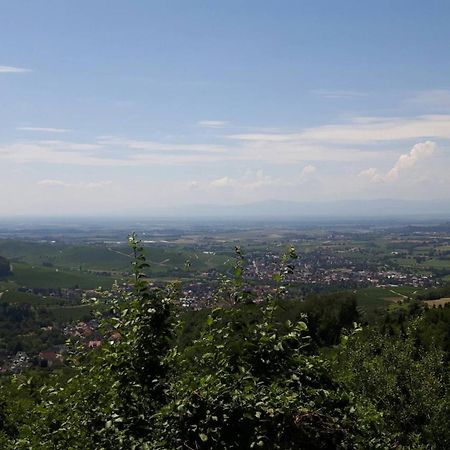 Ferienwohnung Birkental Ebringen Dış mekan fotoğraf