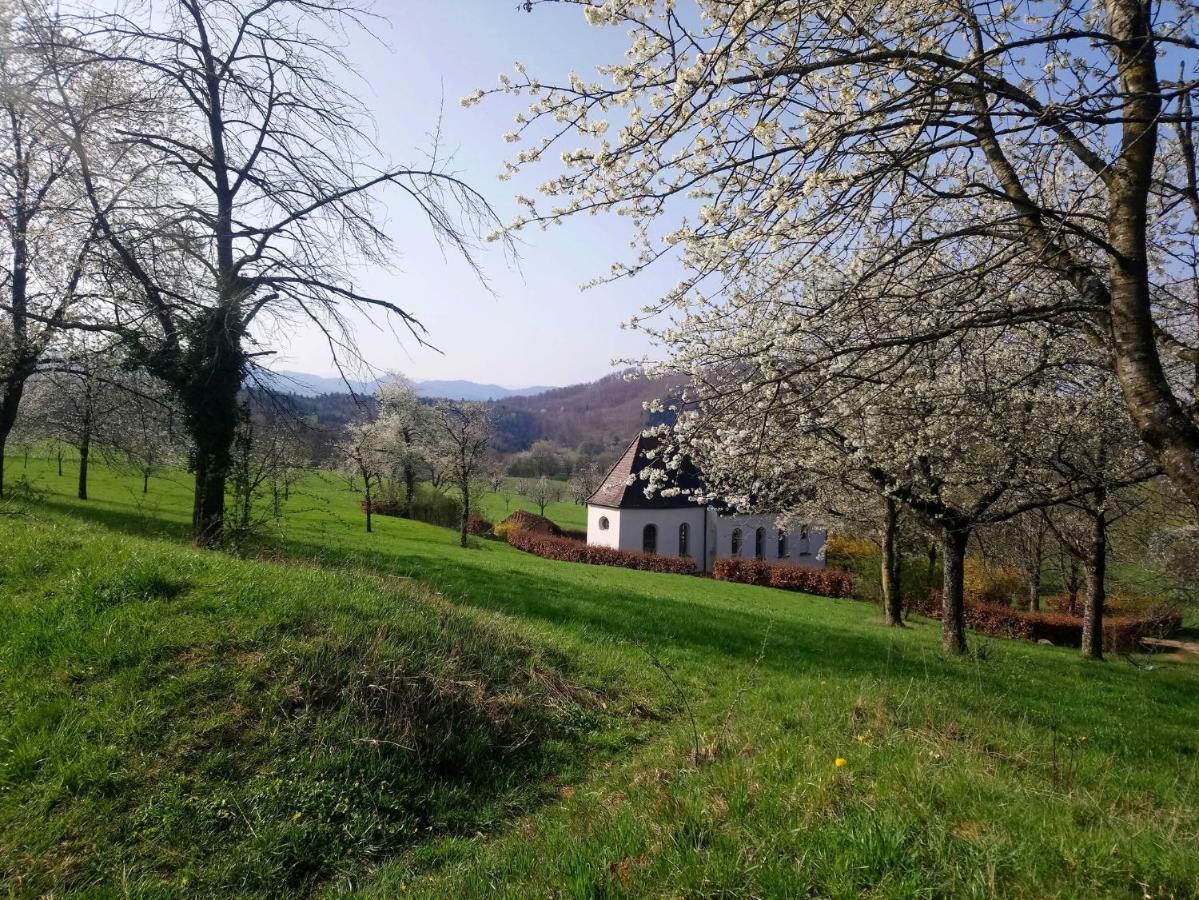 Ferienwohnung Birkental Ebringen Dış mekan fotoğraf